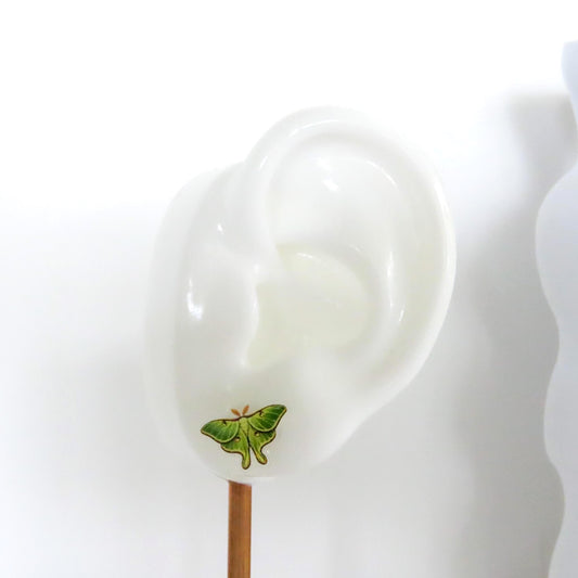 Luna Moth Earrings, Whimsical Insect Jewelry, Hypoallergenic Posts