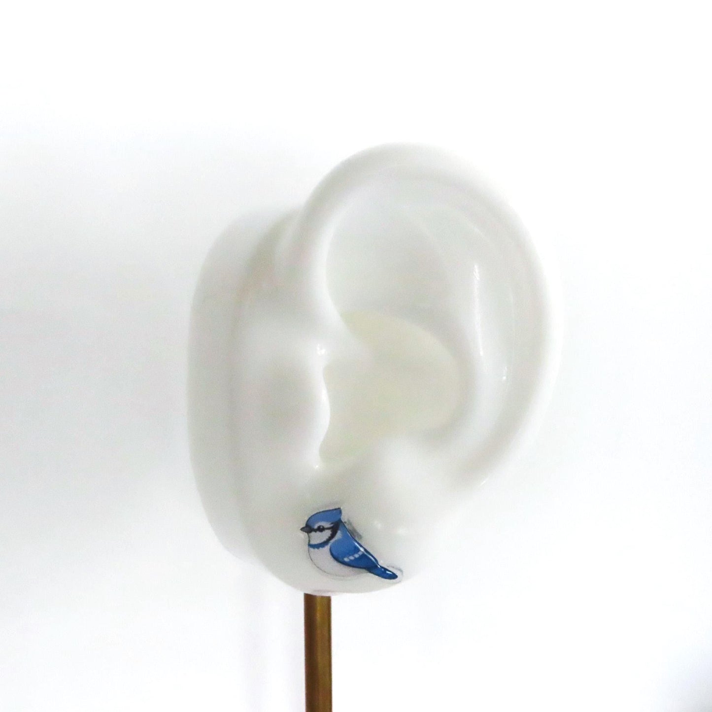 BLUE JAY Earrings · Birding Birder Gift, Bird Jewelry, Titanium Posts