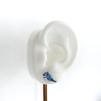 BLUE JAY Earrings · Birding Birder Gift, Bird Jewelry, Titanium Posts