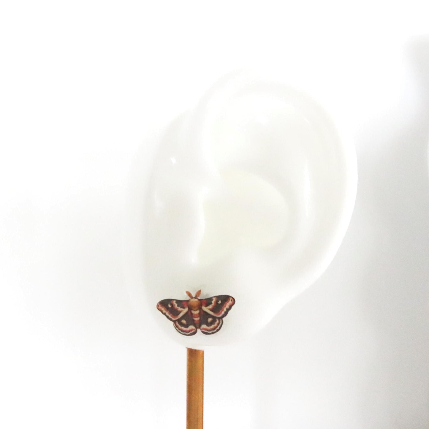 Cecropia Moth Earrings, Hypoallergenic Titanium Posts, Nickel Free Earrings for Sensitive Ears